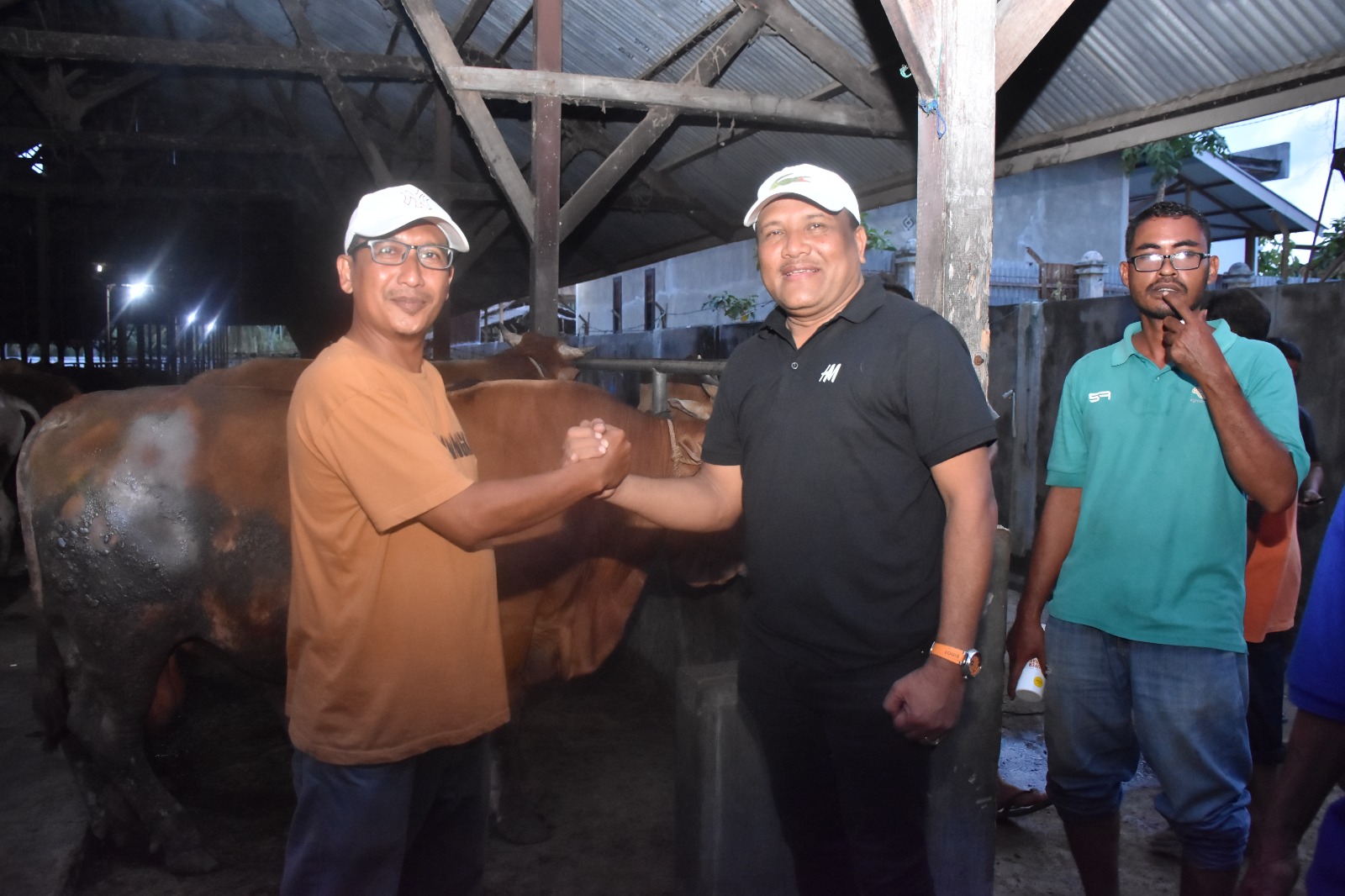 Optimalkan Bantuan Presiden, Bupati Bireuen Gandakan Alokasi Lembu Meugang untuk Warga Terdampak Banjir