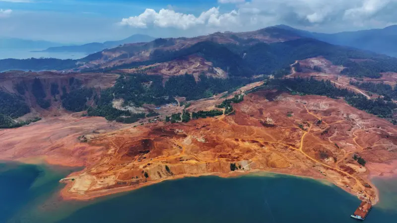 Alarming deforestation