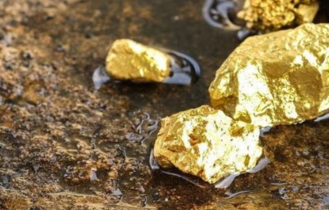 GACC Soroti Rekomendasi Tambang Emas PT Elite Rare Mineral di Syiah Utama, Tekankan Hak Edukasi Lingkungan