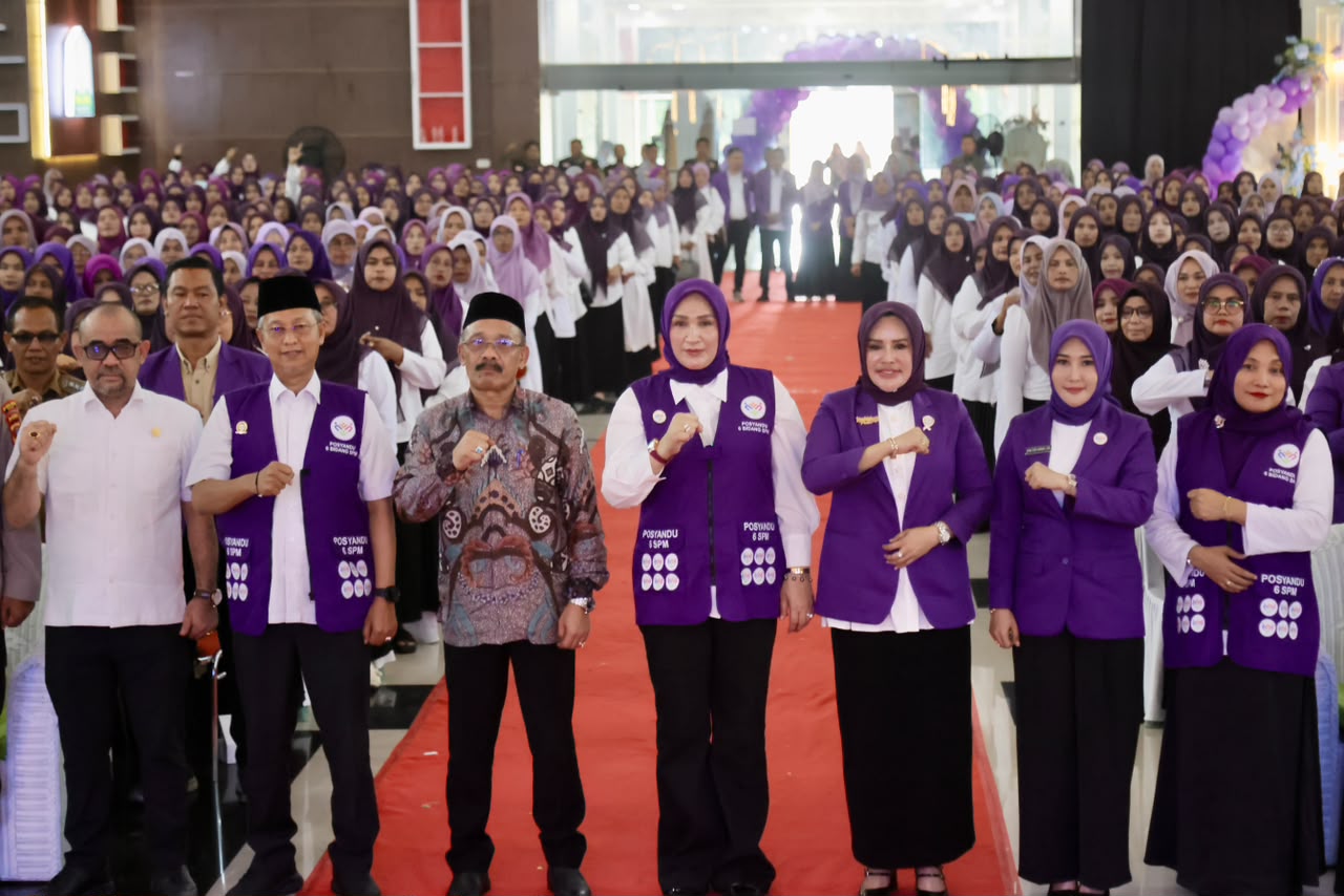 Jadi yang Pertama di Aceh Gelar Rakor Posyandu, Pembina Posyandu Pidie Raih Apresiasi